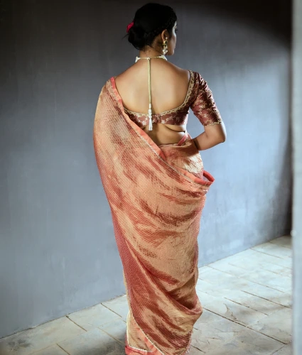 Brown Tissue Saree with Handwork Blouse